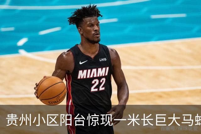 贵州小区阳台惊现一米长巨大马蜂窝，形态似陀螺